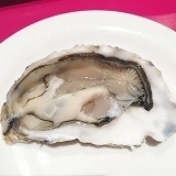 image2 (8).jpg