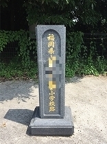 image2 (8).jpg