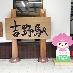 image3.jpg