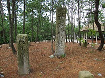 s-IMG_0746.jpg
