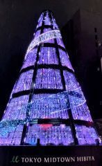 starlighttree2 .JPG